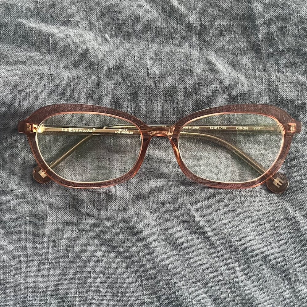 Pink l.a. eyeworks glasses